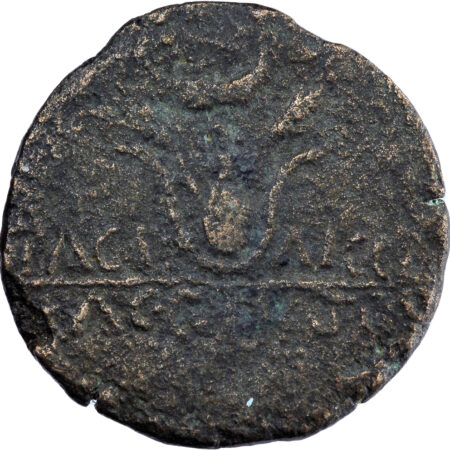 Maurétanie Juba II AE Bronze 25 BC-24 AD Césarée – Image 2