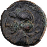 Maurétanie AE Quart d'unité 3e-2e siècle BC Iol Césarée