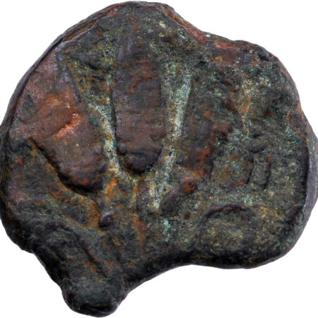 Maurétanie AE Demi Unité 150-100 BC Iol Césarée – Image 2