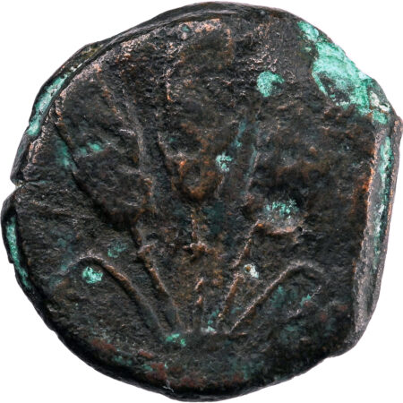 Maurétanie AE Demi Unité 150-100 BC Iol Césarée – Image 2