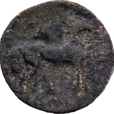 Zeugitanie Shekel 241-210 BC Carthage – Image 2