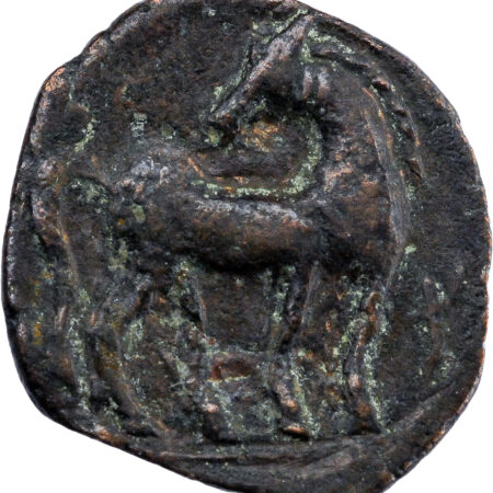 Zeugitanie Shekel 221-210 BC Carthage – Image 2