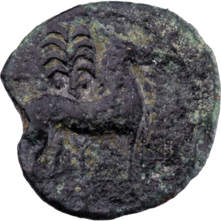 Zeugitanie AE Unité 400-350 BC Carthage – Image 2