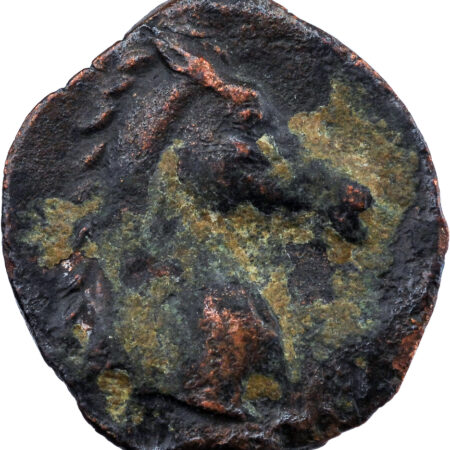 Zeugitanie Shekel 300-246 BC Carthage – Image 2
