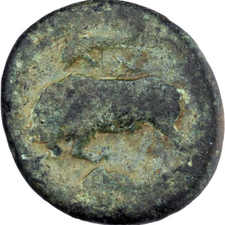 Sicile AE Bronze 317-310 BC Syracuse – Image 2