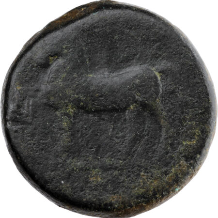 Numidie Massinissa ou Micipsa AE Bronze 208-148 BC – Image 2