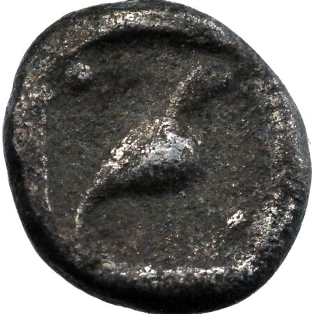 Carie Tetartemorion 420-390 BC Mylasa – Image 2