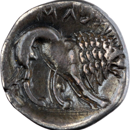 Marseille, Massalia Drachme lourde 275-225 BC Marseille – Image 2