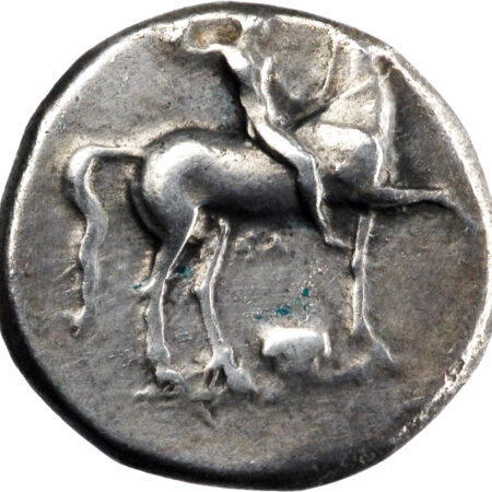 Calabre Didrachme - Nomos 325-281 BC Tarente – Image 2